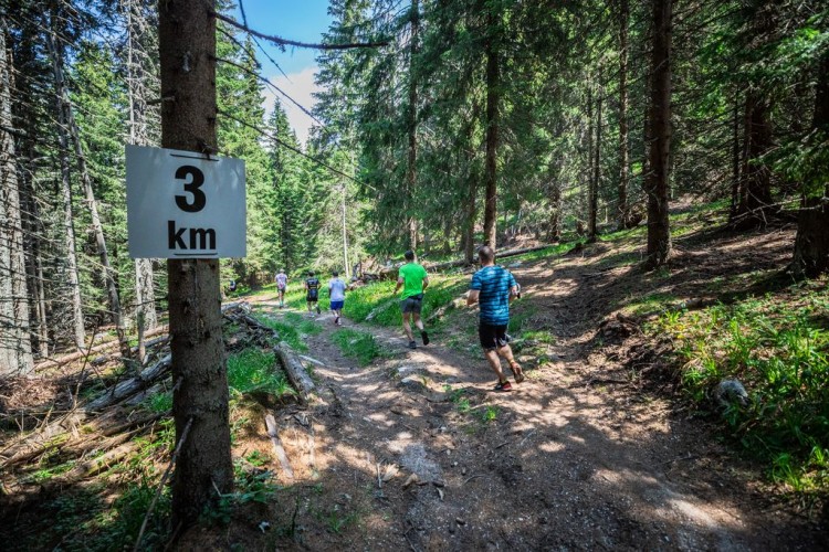 Trail race Kopaonik 2022_03